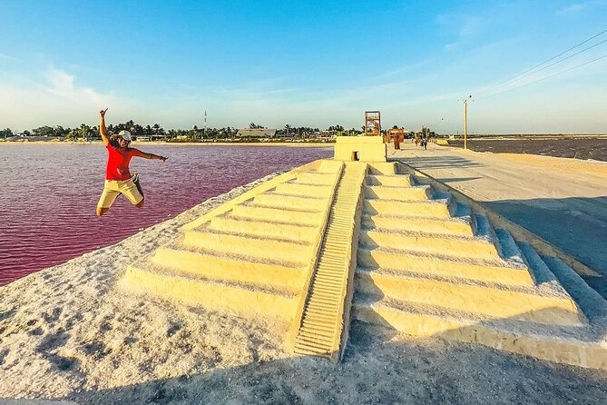 Las Coloradas Tour to Pink Lakes and Wildlife Wonders - Price and Taxes: The Real Math Behind the $96.50 Ticket
