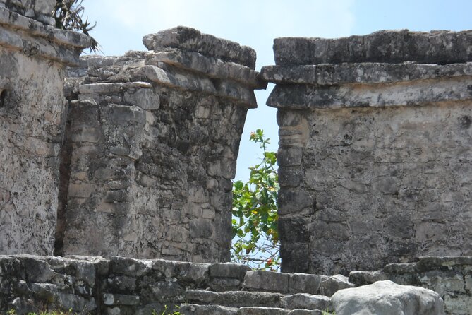 LDS Tour to Tulum Ruins + Cenote - Price and Value: Why $250 Can Be Worth It (or Not)