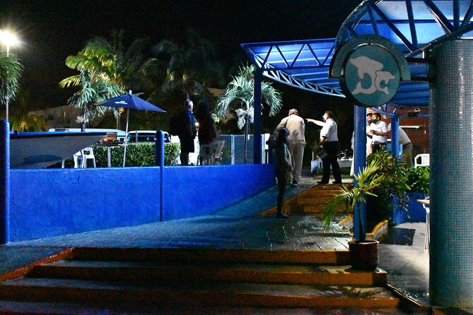 Live a Romantic Night Cruise Dinner at COLUMBUS (open bar included) - Should you book this Columbus Romantic Night Cruise Dinner?
