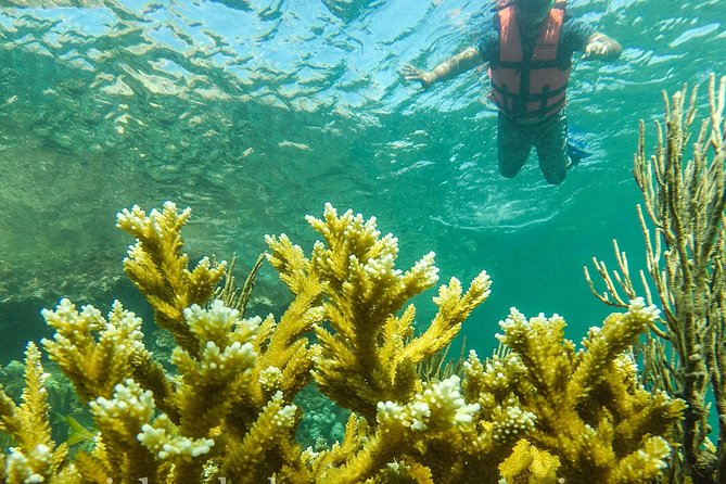 Local Fishing Plus Snorkeling Tour in Isla Mujeres - Fishing around Isla Mujeres: how to make your time count