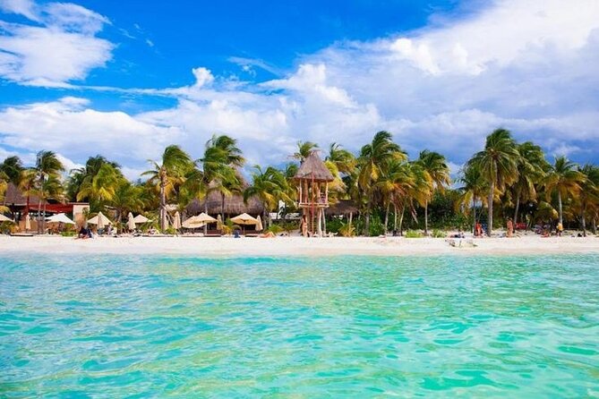 Luxury Catamaran Tour to Isla Mujeres with Transportation - Getting to Marina Albatros and What the Morning Timeline Feels Like