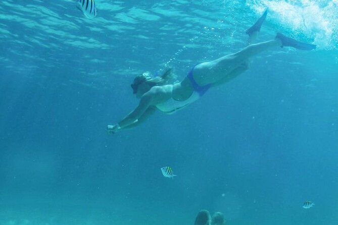 Luxury Catamaran Tour to Isla Mujeres with Transportation - Arrecife El Meco Snorkeling: Fish, Sculptures, and Realistic Expectations