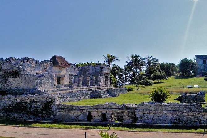 Luxury Tour in Tulum, Coba, Cenote and Playa del Carmen - Coba Zone: bicycle time, Nohoch Muul, and a buffet lunch reset