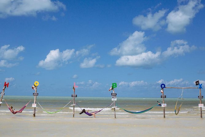 Magic Island Holbox! Experience From Cancun & Playa del Carmen - Stop 2: Isla de la Pasión for mangroves and nature time