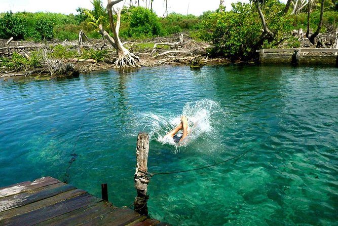 Magic Island Holbox! Experience From Cancun & Playa del Carmen - Lunch, beer, and what the food actually looks like