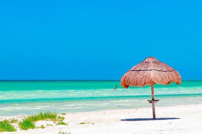 Magic Island Holbox! Experience From Cancun & Playa del Carmen - Price and value: is $142 fair?