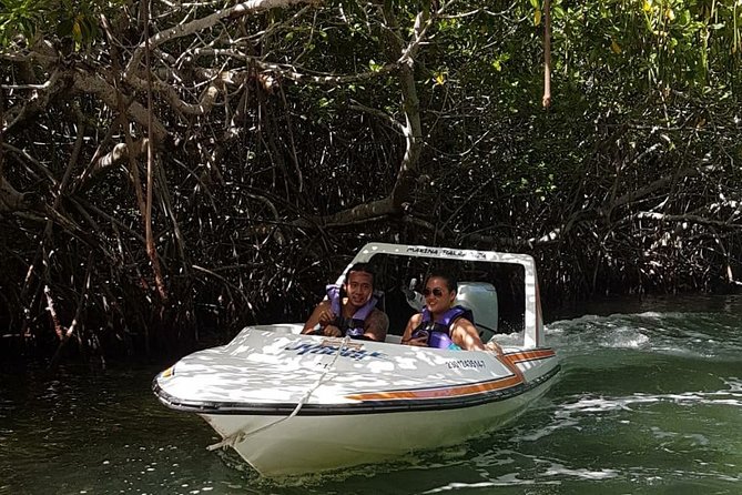 Mangrove and Lagoon Speed Boat Tour - Safety, Rules, and Who Can Drive