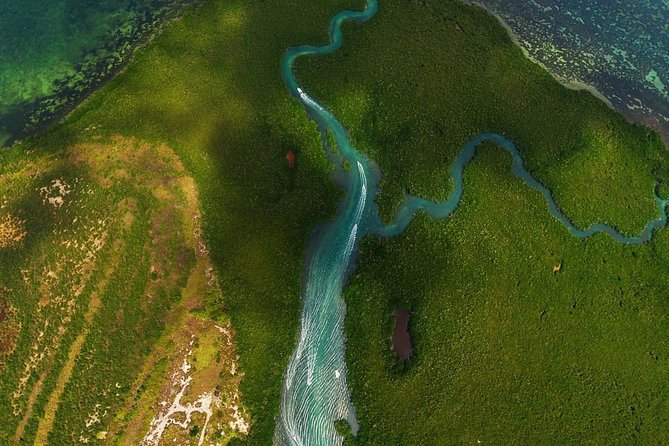 Mangrove and Lagoon Speed Boat Tour - Snorkeling Time and the Beach Swim Reality Check