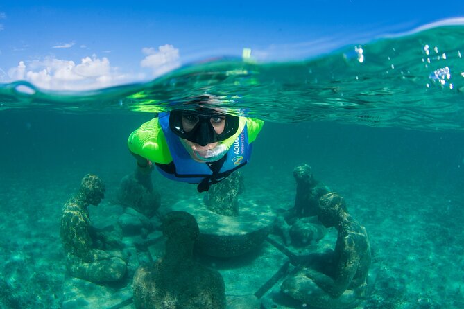 Mangrove Jungle Speedboat Experience - Museo Subacuatico de Arte: Why the Sculpture Museum Stop Matters