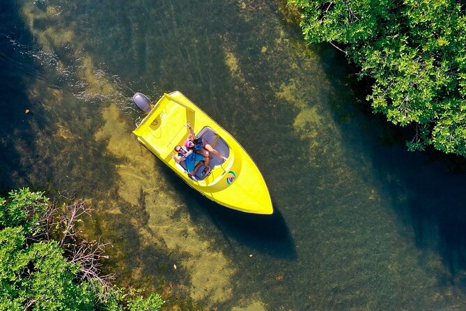 Mangrove Jungle Speedboat Experience - Price and Value: The Real Cost of the Speedboat + Snorkel Day