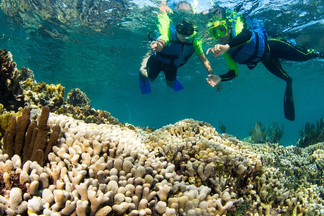 Mangrove Jungle Speedboat Experience - What to Bring (and What to Save for On-Site Fees)