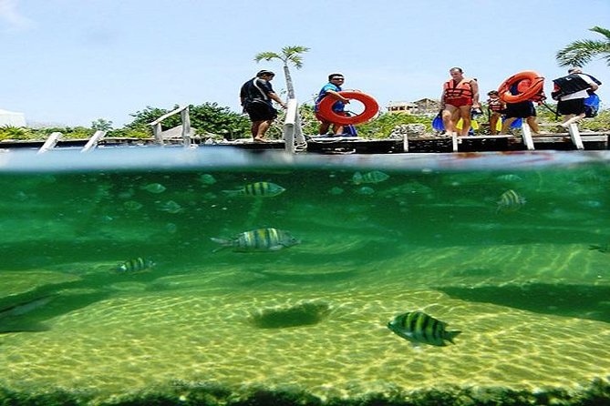 Mayan Adventure from Playa del Carmen - Reef Snorkeling Through Caves, Sinkholes, and Underwater Life