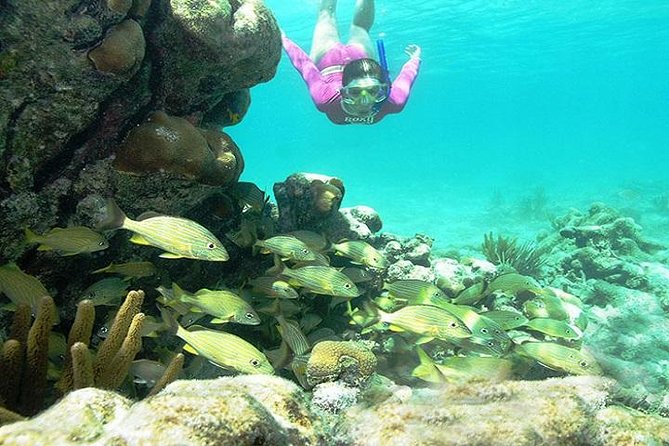 Mayan Adventure from Playa del Carmen - Cenote Time: What a Sinkhole Pool Really Means for Your Swim