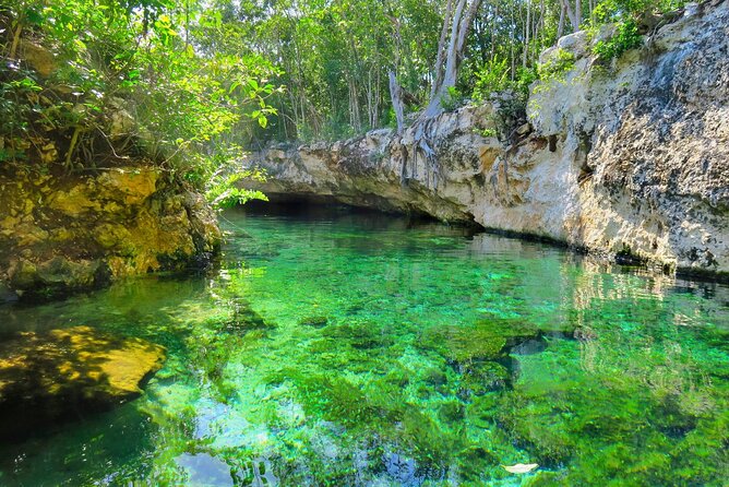 Mayan Cenotes Experience with Mayan Ruins or Local Community - Cenote Caracol: multiple cenote types, snorkeling gear, and a swim you’ll remember