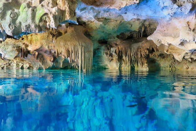 Mayan Cenotes Experience with Mayan Ruins or Local Community - Price and mandatory fees: what $139 buys (and what to budget)