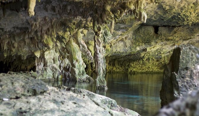 Mayan Ceremonial Night: Temazcal, Cenote Swim and Dinner from Playa del Carmen - Quick hits worth knowing