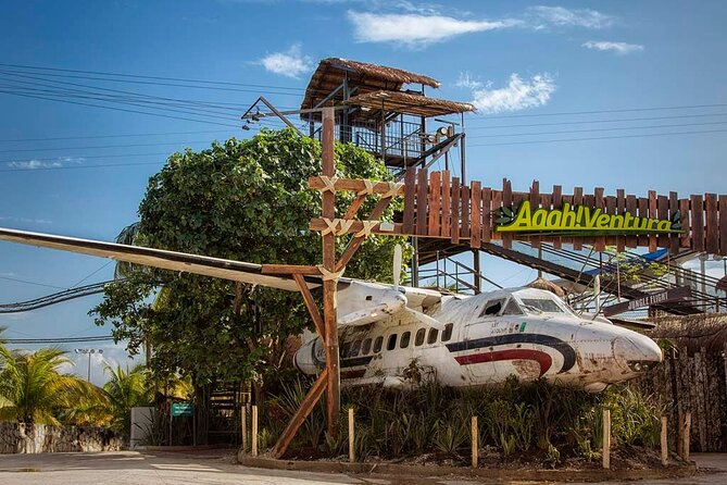 Meeting at the Dolphinarium - When attractions are open: why timing inside the complex matters