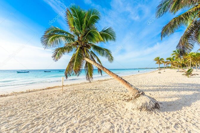 Mother Nature, Tulum and beach paradise with lunch - Playa del Carmen Fifth Avenue shopping: a stop with one big limitation