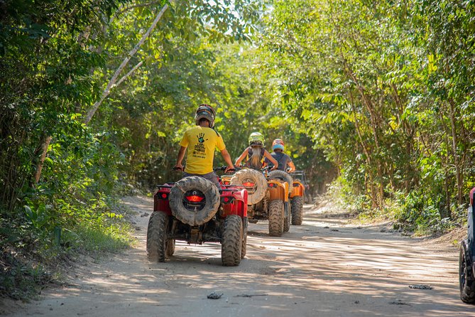 Mud Madness at Selvatica - Kumala and Lukuma Cenotes: Private Sinkholes and Swim Time