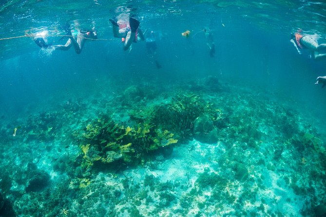 Mujeres Island Tour by Catamaran from Cancun City - Who this trip is best for (and who should choose something else)