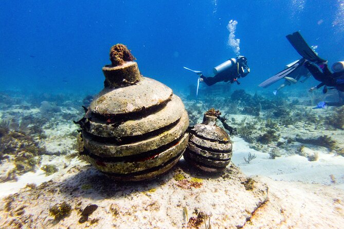 MUSA Museum and Colorful Reef 2 Tank Dive-Certified Divers - MUSA and Manchones: what makes this combo special