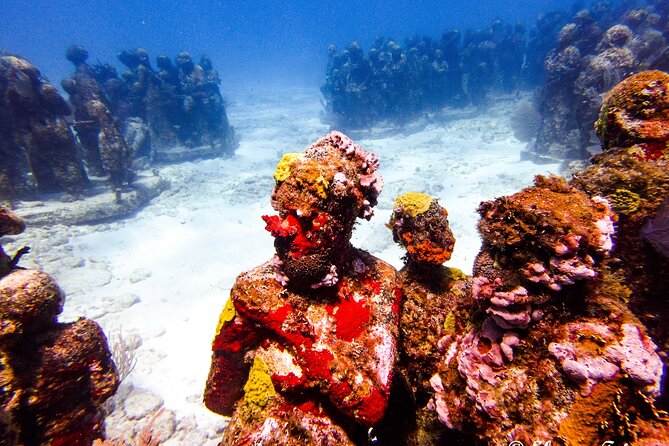 MUSA Museum and Colorful Reef 2 Tank Dive-Certified Divers - Manchones Reef: native marine life and the chance for bigger encounters