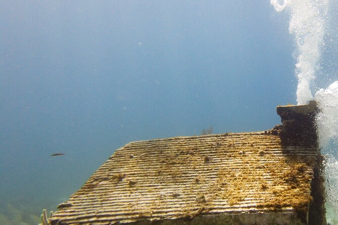 MUSA Museum and Colorful Reef 2 Tank Dive-Certified Divers - Boat time and logistics: what to expect on the surface