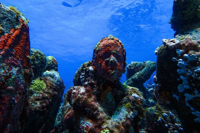 MUSA Museum and Colorful Reef 2 Tank Dive-Certified Divers - Meet the crew: small-group attention and real instruction
