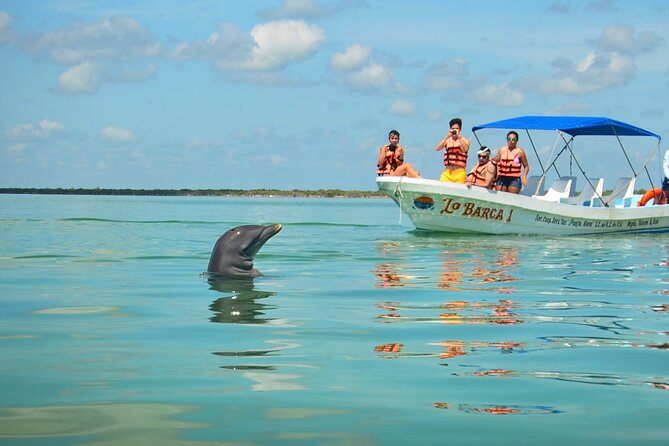 Natural Reserve of Sian Ka'an Tour ! - Where Sian Ka’an gets its reputation: sky, water, and wildlife