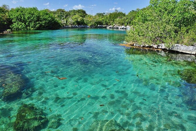 Natural Reserve of Sian Ka'an Tour ! - Price and value: does $185 really add up?