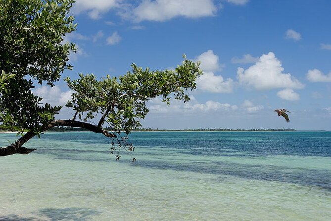 Natural Reserve of Sian Ka'an Tour ! - Getting there from Cancun and Riviera Maya without losing your mind