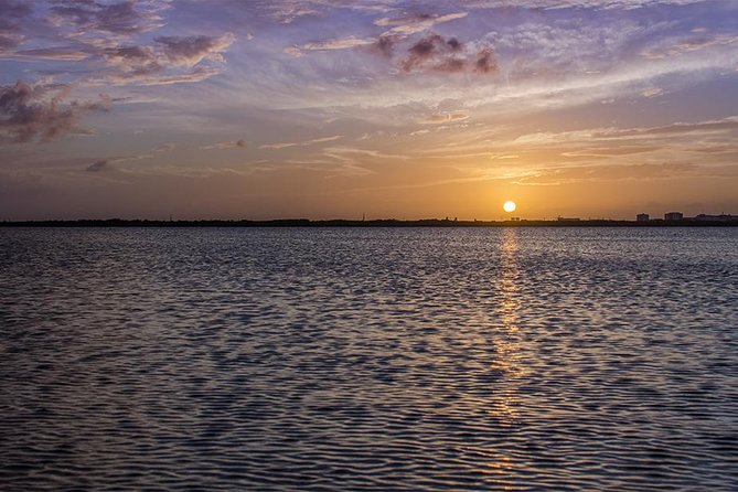 Nichupte Lagoon Wildlife Tour - Who Should Book (and Who Might Want to Skip)