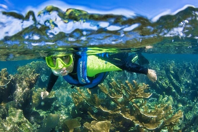 Nizuc Reef Snorkel Experience - Snorkeling Punta Nizuc and the Underwater Museum sculptures