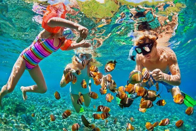 Nizuc Reef Snorkel Experience - Stop 1: Mayan Coral Reef (what the guide-focused snorkel feels like)