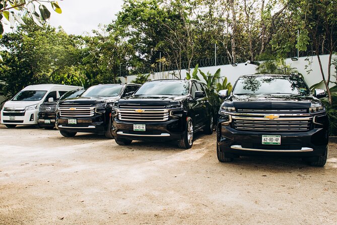 One Way Private Transfer Cancun Int Airport - Playa del Carmen - Key highlights worth planning for