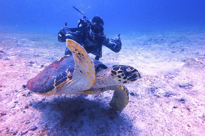 Open Water Certification Course-PADI - Instructors and safety culture: why the coaching style matters more than gear