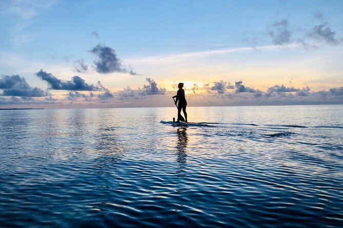 Paddle Board at Sunrise or Sunset in Cancun - The Route Through Mangroves and Quiet Water