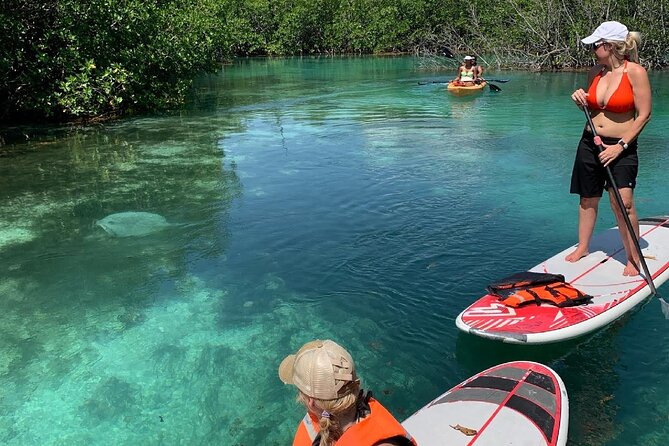 Paddleboard Kayak Tour in Cancun - Your guided 2-hour route through mangrove tunnels
