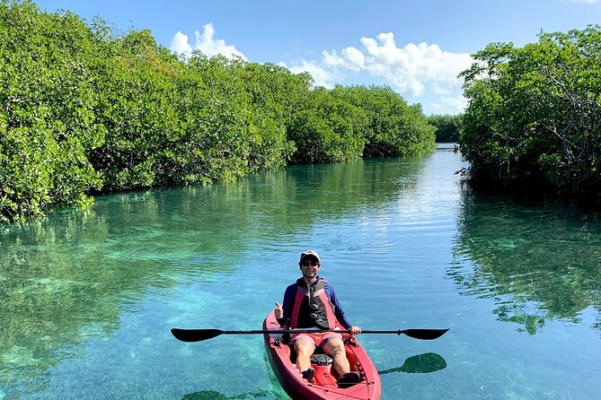 Paddleboard Kayak Tour in Cancun - SUP vs kayak: how to choose what matches your comfort level