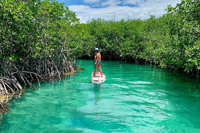 Paddleboard Kayak Tour in Cancun - Equipment, lockers, and the unglamorous stuff that saves your trip