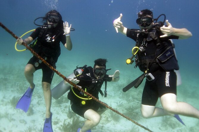 PADI Discover Scuba Diving for divers without certification - Isla Mujeres makes a smart first stop for non-certified scuba