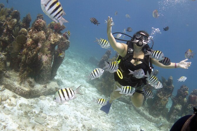 PADI Discover Scuba Diving for divers without certification - Group size and guide support: why it feels personal