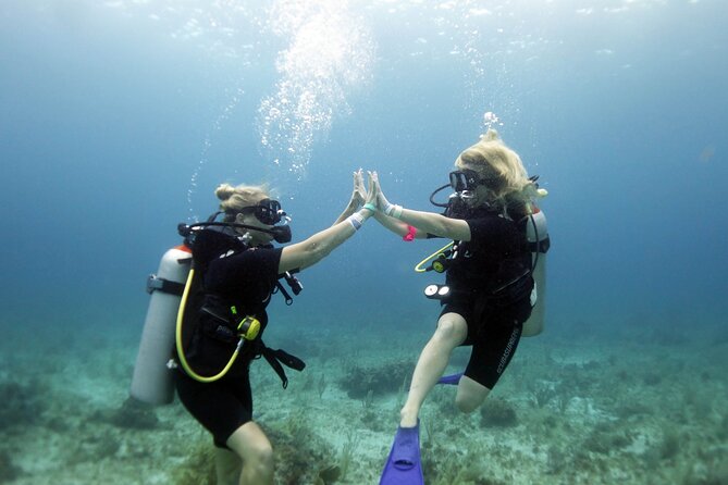 PADI Open Water Diver Course - Isla Mujeres + MUSA: a smart way to start your Open Water Diver certification