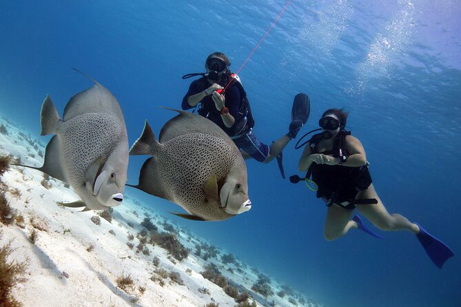 PADI Open Water Diver Course - Instructor support you can feel: Javi’s calm, practical teaching