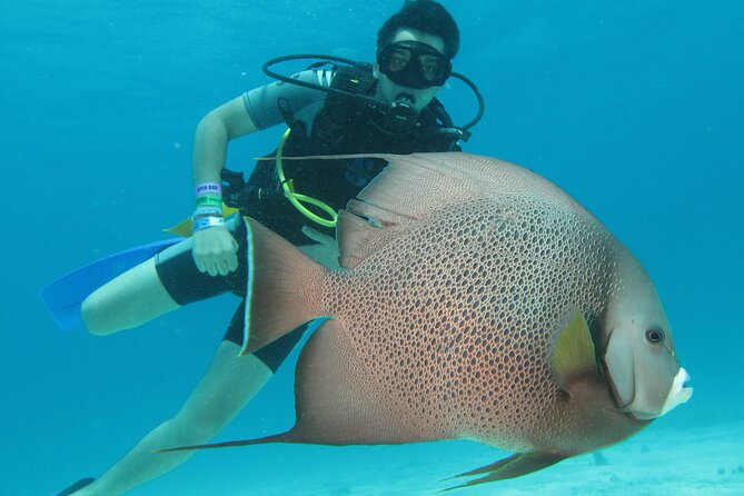 PADI Open Water Diving Certification Course Activity - Key things to know