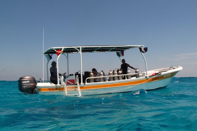 PADI Open Water Diving Certification Course Activity - Equipment included: the quiet advantage you’ll notice