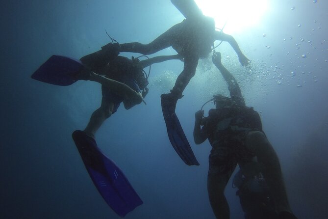 PADI Open Water Diving Certification Course Activity - Theory and pool skills: how the course builds confidence