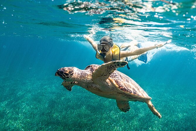 Parasailingcancun and Jet Ski tour over Cancun Bay - Parasailing up to 80 meters: the views are the main event