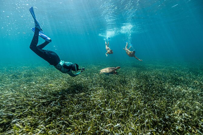 Parasailingcancun and Jet Ski tour over Cancun Bay - What’s included, what costs extra, and what to pack