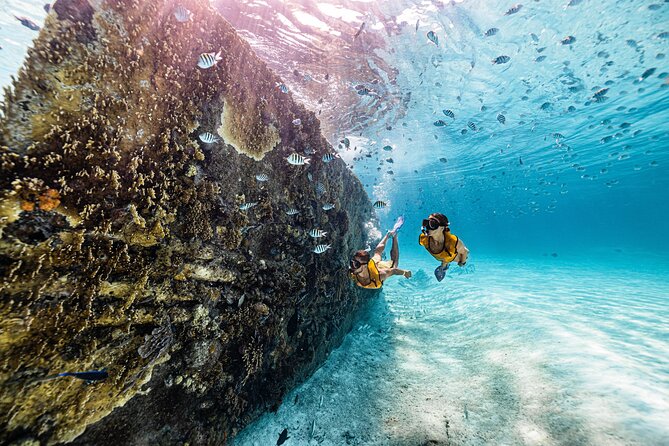 Parasailingcancun and Jet Ski tour over Cancun Bay - Who this tour is best for (and who should skip it)